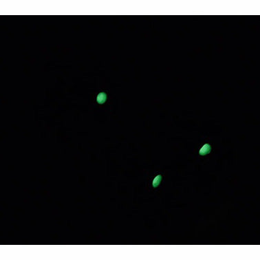 Guarder Steel Luminous Sight Set for Marui P226 GBB Pistol ( P226-32 )