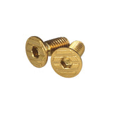5KU Stainless M4x10 Thumb Rest Screw Type-A ( GB-648 )
