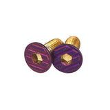 5KU Stainless M4x10 Thumb Rest Screw Type-A ( GB-648 )