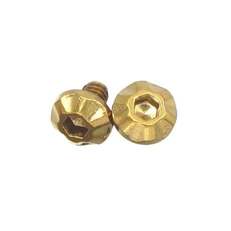 5KU Stainless M2x3 Trigger Guard Screw Type-B ( GB-653 )